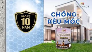 SƠN NGOẠI THẤT SIÊU BÓNG CAO CẤP EX STANDARD 9* - NÂNG TẦM KHÔNG GIAN SỐNG